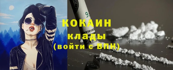 шишки Заволжск