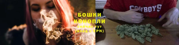 spice Горняк