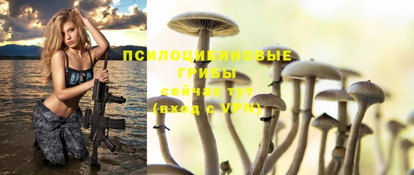 хмурый Волоколамск