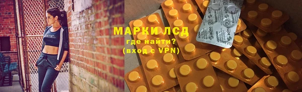 spice Горняк