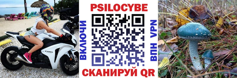 blacksprut зеркало  Данков  Галлюциногенные грибы Cubensis 