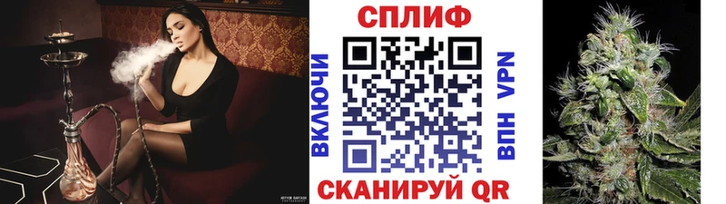 Каннабис планчик как найти наркотики Данков